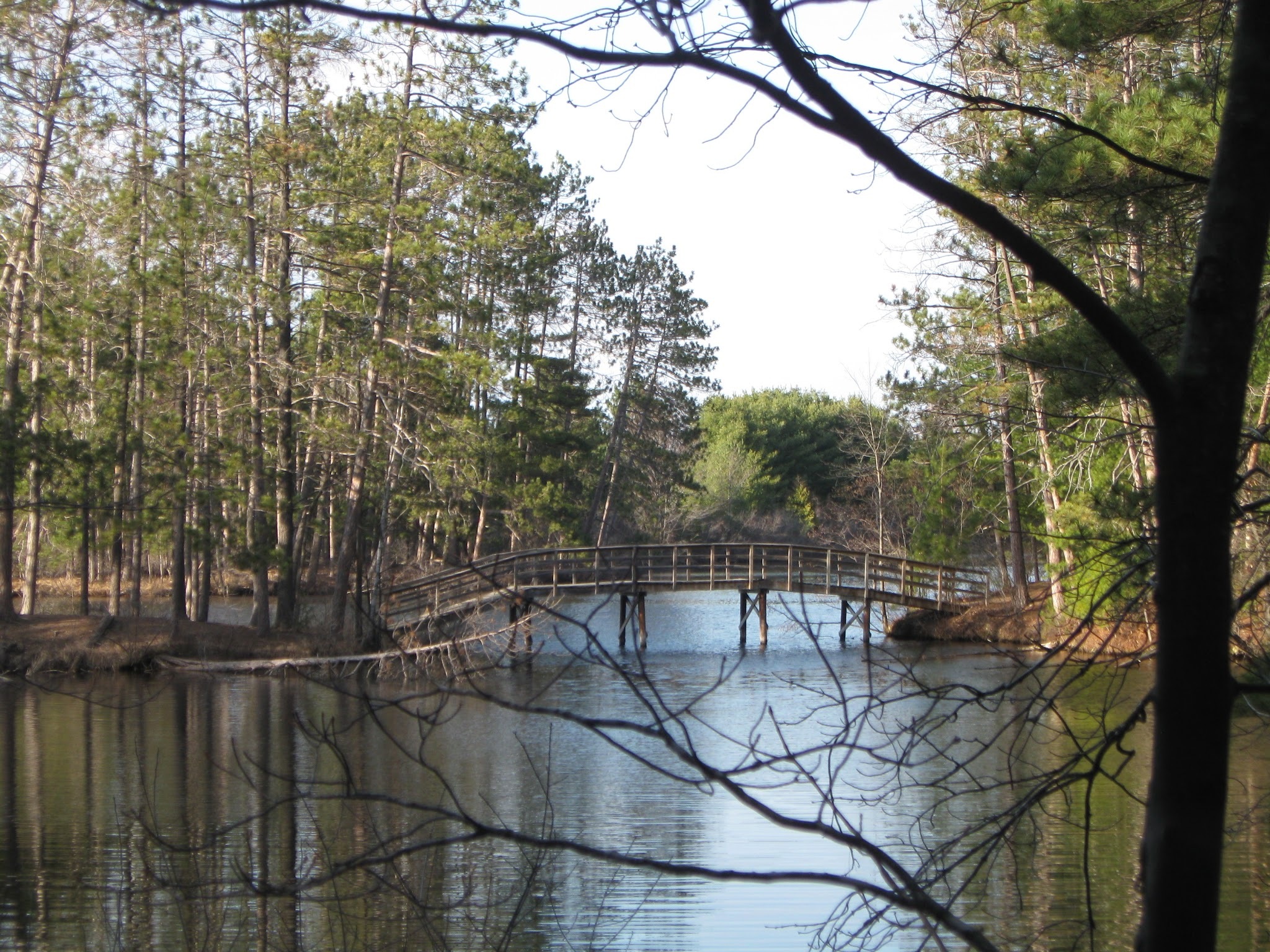 HUNTING & TIMBER LAND WANTED, KEWAUNEE COUNTY FOREST LA